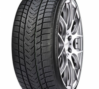 GRIPMAX Status Pro Winter